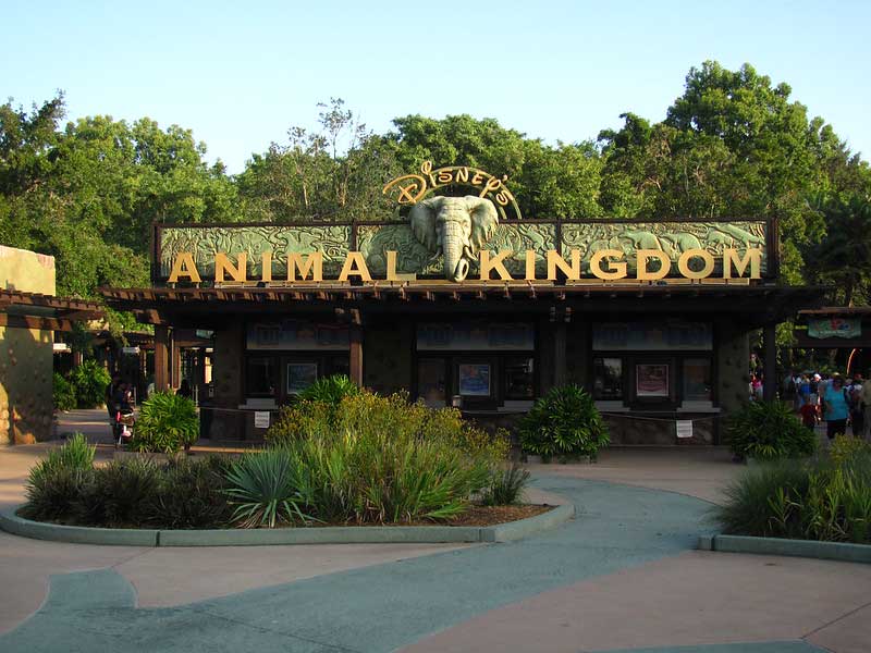 Disney’s Animal Kingdom