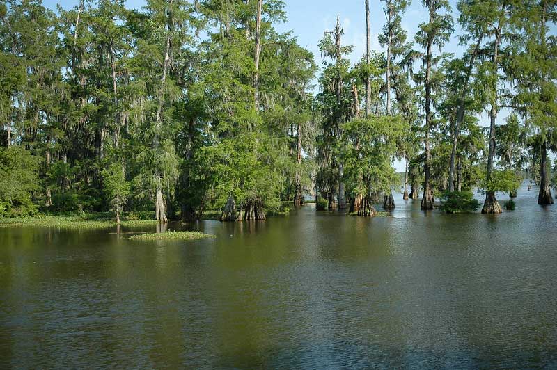 Things to do in Breaux Bridge