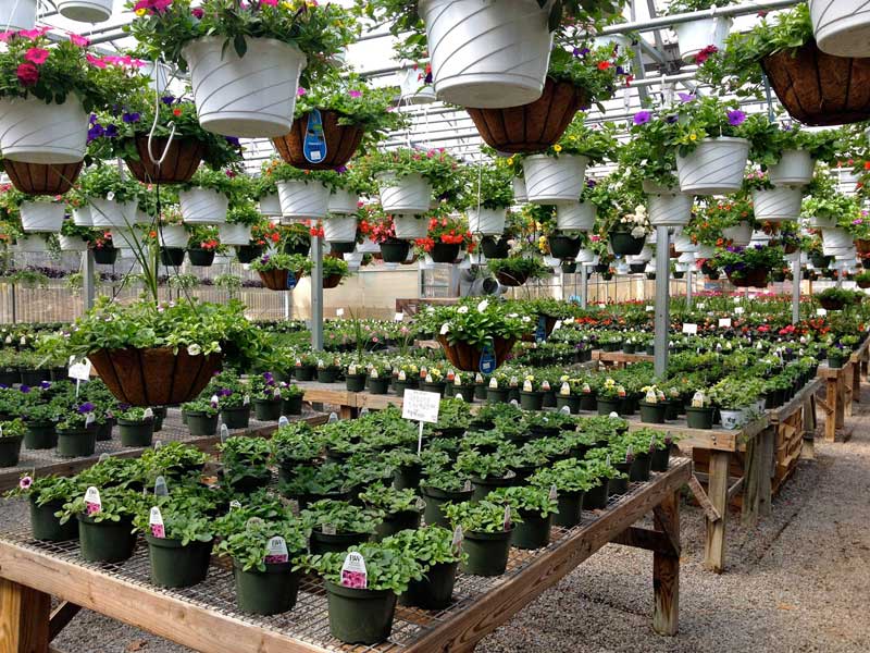 Vera’s Market and Garden Center
