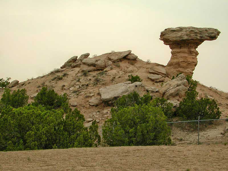 Carson National Forest