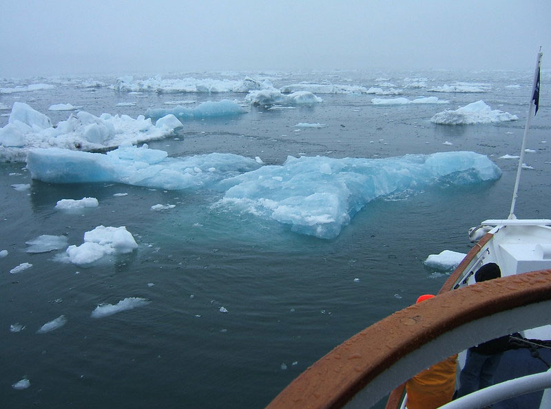 Columbia Glacier Cruise