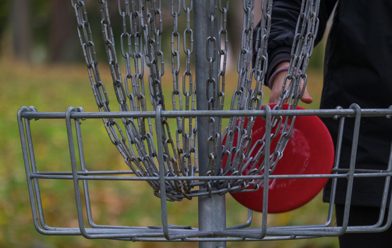Disc Golf at MacLean Park
