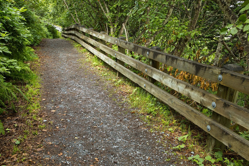 Dock Point Trail