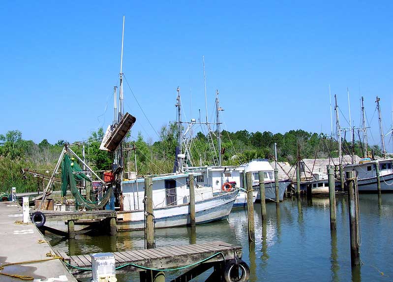 Scipio Creek Marina & Waterfront Park