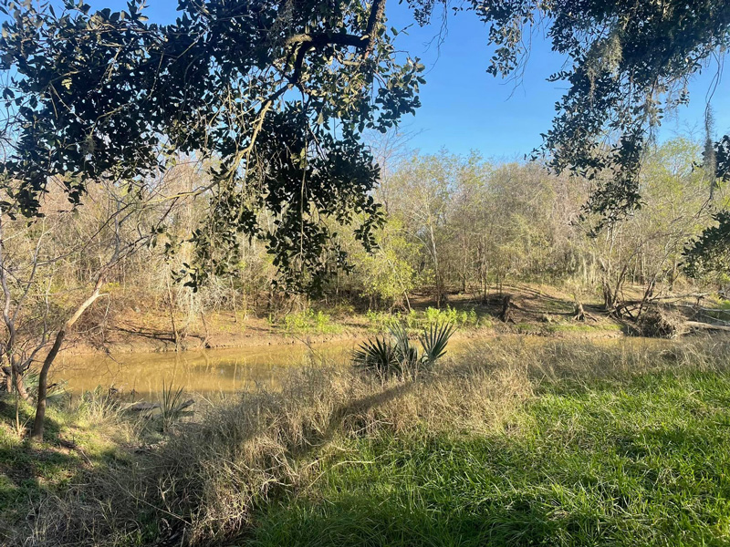 Wilderness Park