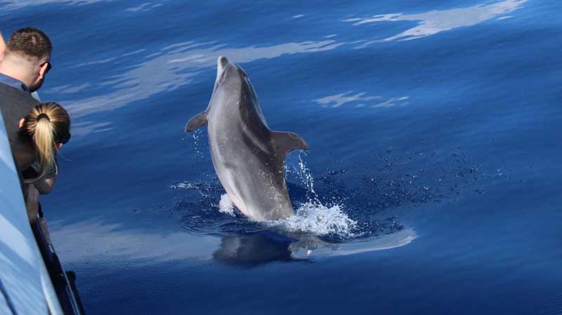 Backwater Expeditions