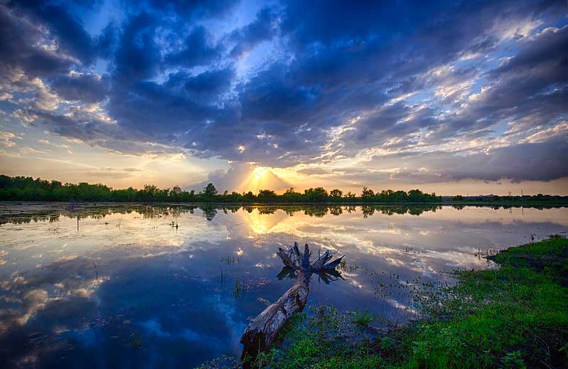Baker Wetlands