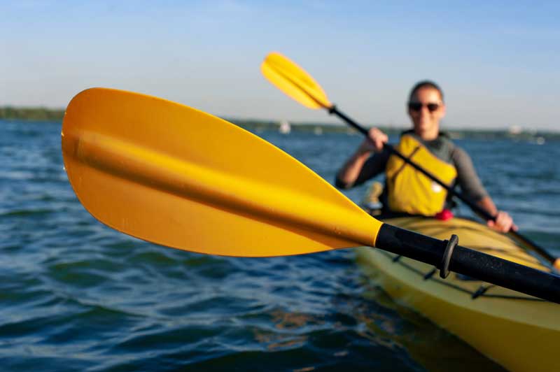 Beaufort Paddle