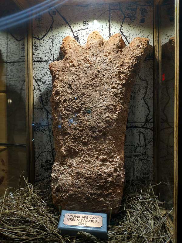 Bigfoot! The Sasquatch Museum