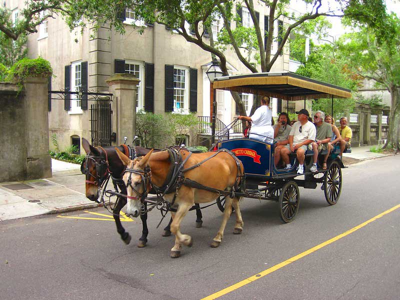 Carriage Tour
