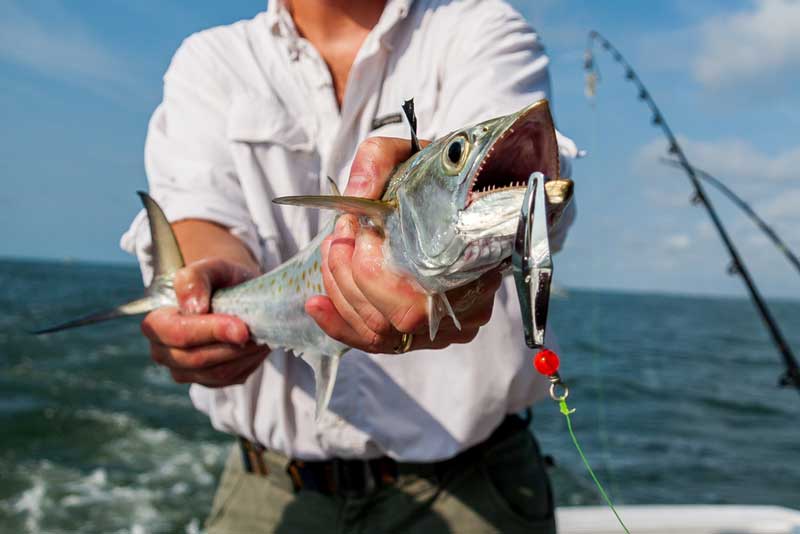 Combat Fishing