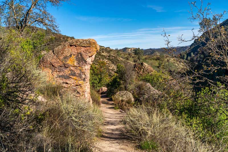 Condor Gulch Trail