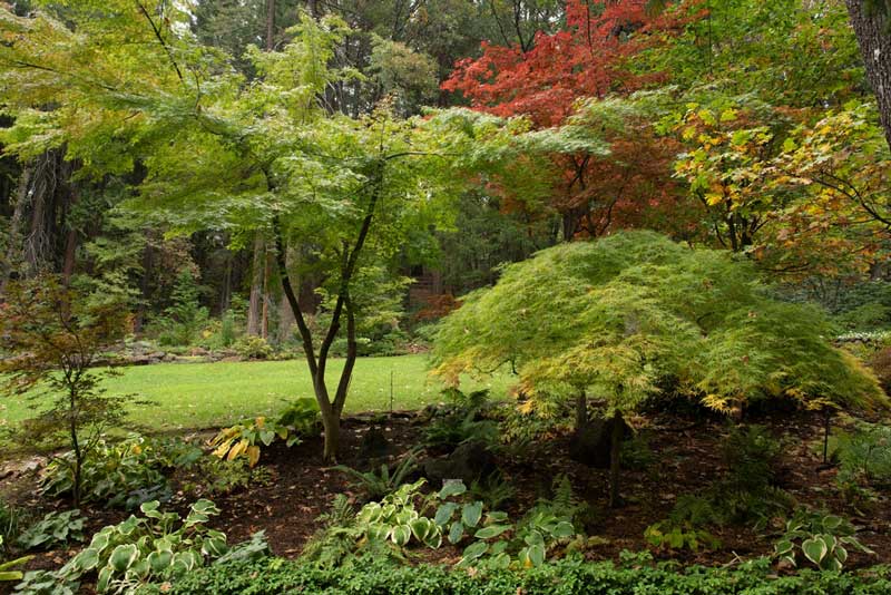 Dunsmuir Botanical Gardens