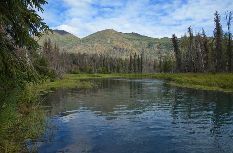 Kenai River Trail