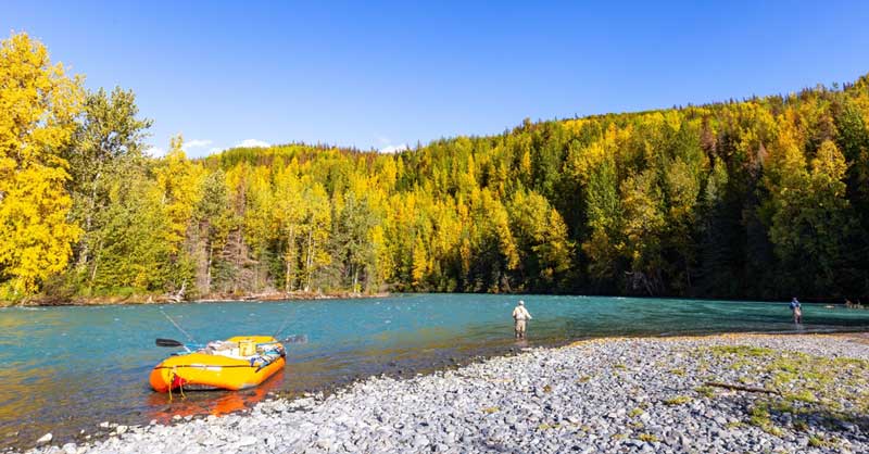 Things to Do in Kenai, AK