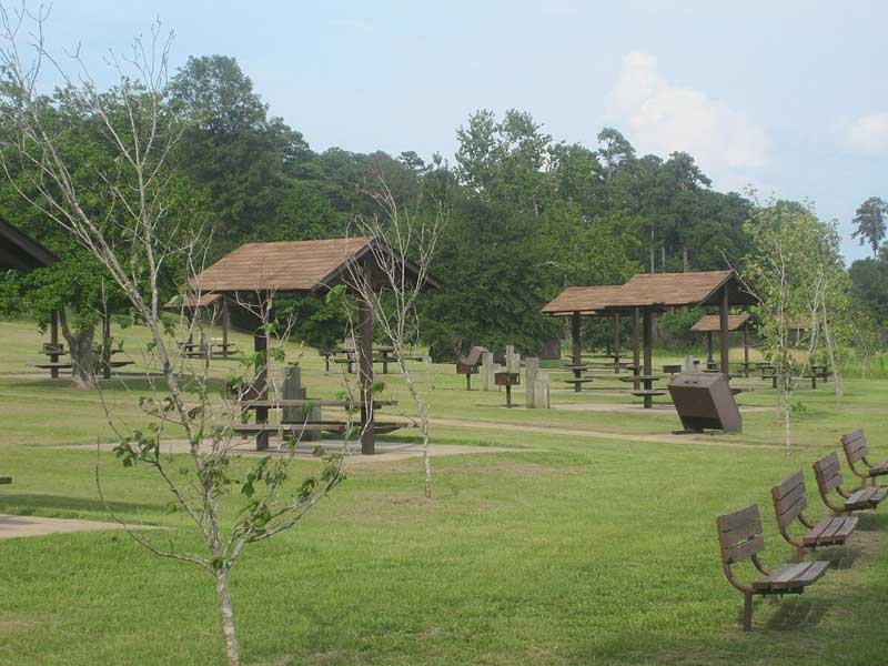 Kisatchie National Forest