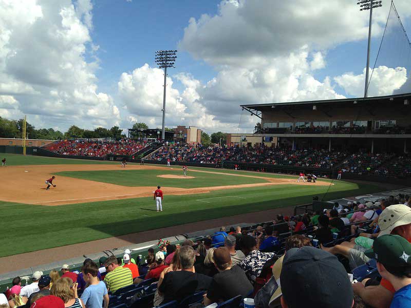 Savannah Sand Gnats Baseball