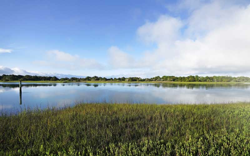Taylor's Creek
