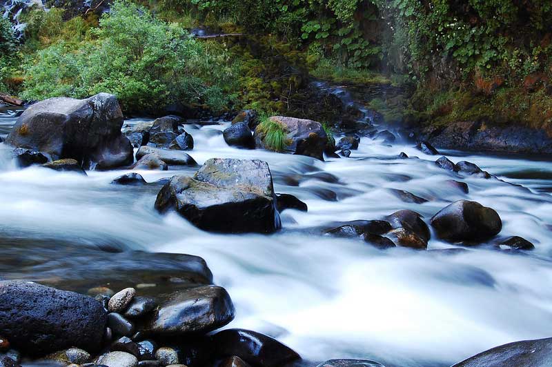Upper Sacramento River