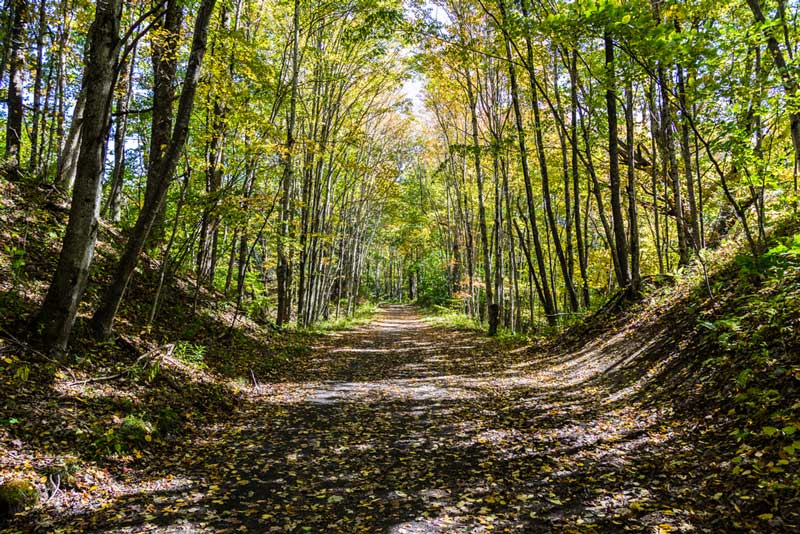 Virginia Creeper Trail