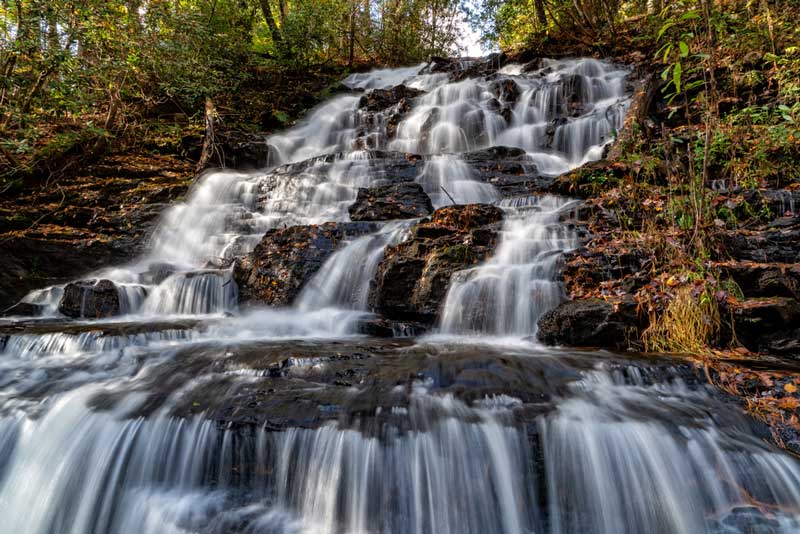 Vogel State Park