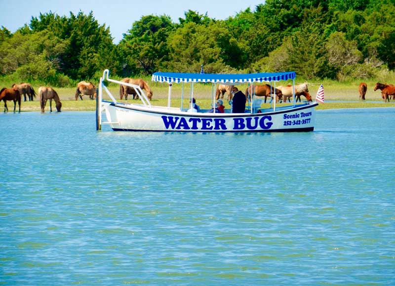 Waterbug Tours