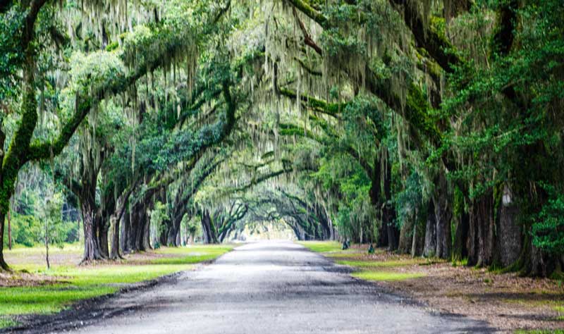 Wormsloe Historic Site