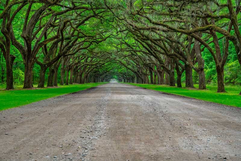 Wormsloe Historic Site