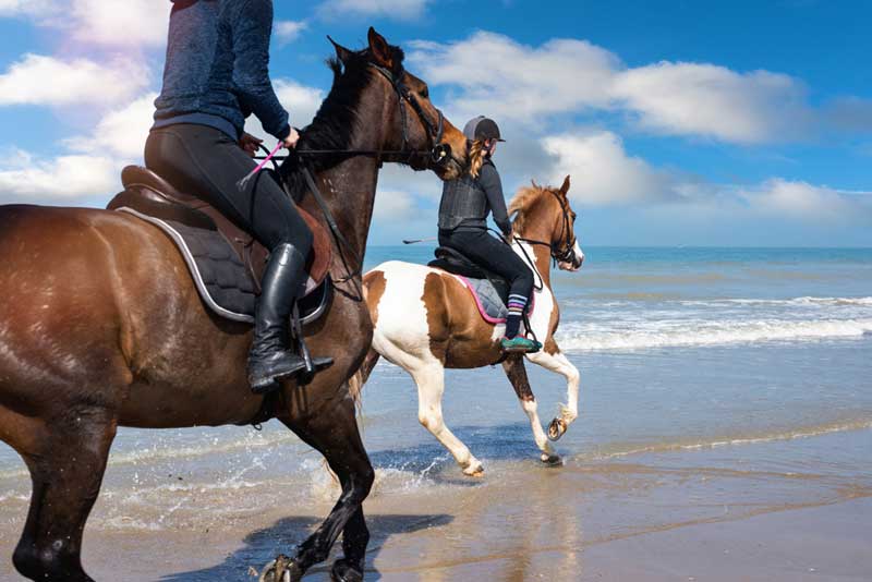 Amelia Island Horseback Riding