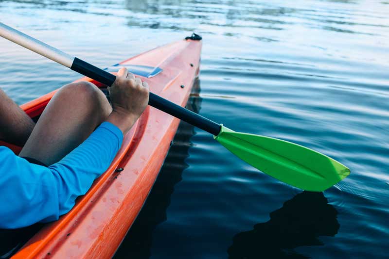 Amelia Island Kayak Excursions