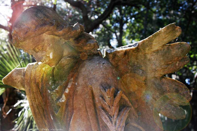 Bosque Bello Cemetery
