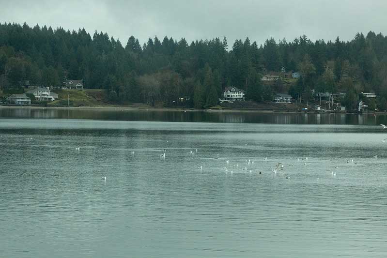 Burley Lagoon Nature Preserve