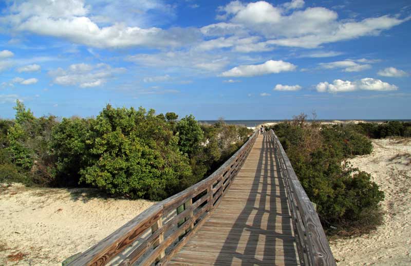 Cumberland Island National Seashore