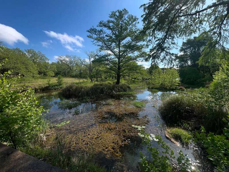 Cypress Falls Swimming Hole