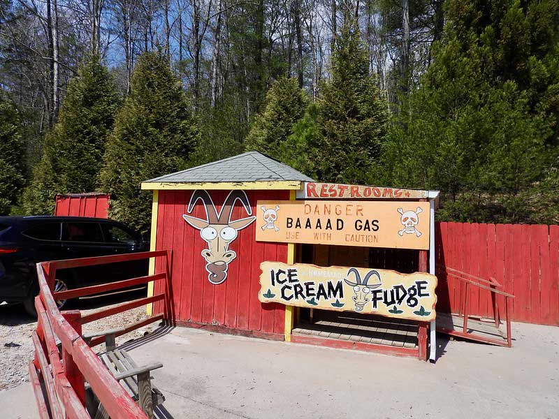 Goats on the Roof