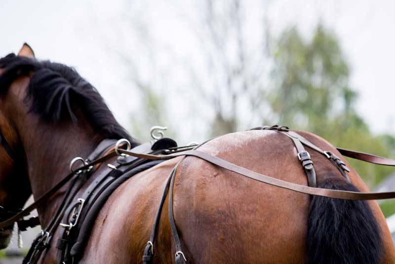 Hans Christian Andersen Carriage Company