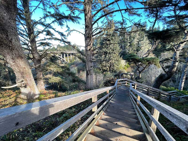 Jug Handle State Natural Reserve