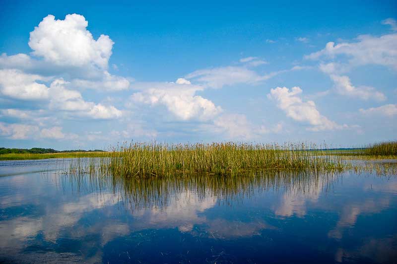 Lake Toho