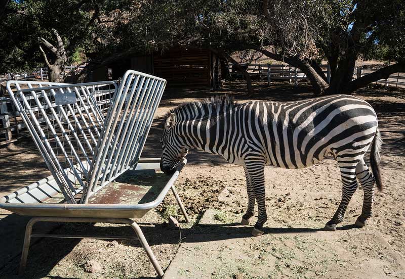 Malibu Wine Safari