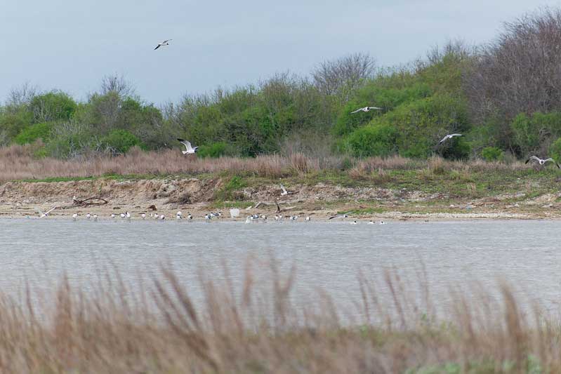 Matagorda Bay Nature Park