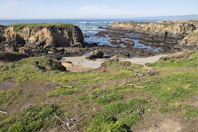 Noyo Headlands Park