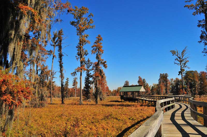 Phinizy Swamp Nature Park