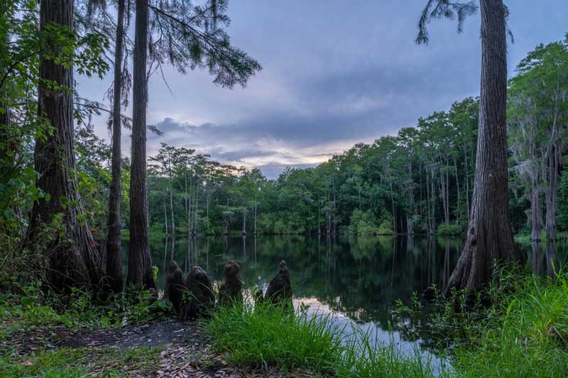 Shingle Creek Regional Park