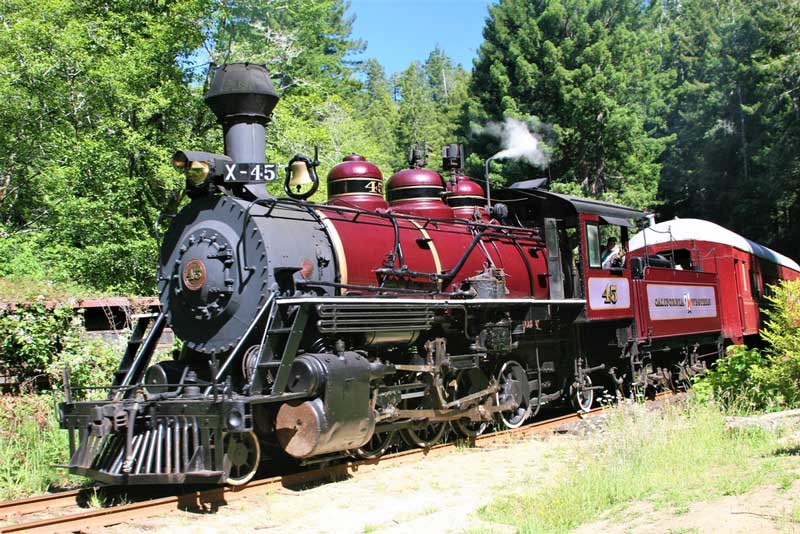 Skunk Train