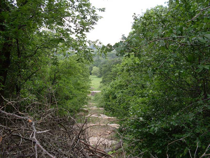 Arbor Hills Nature Preserve