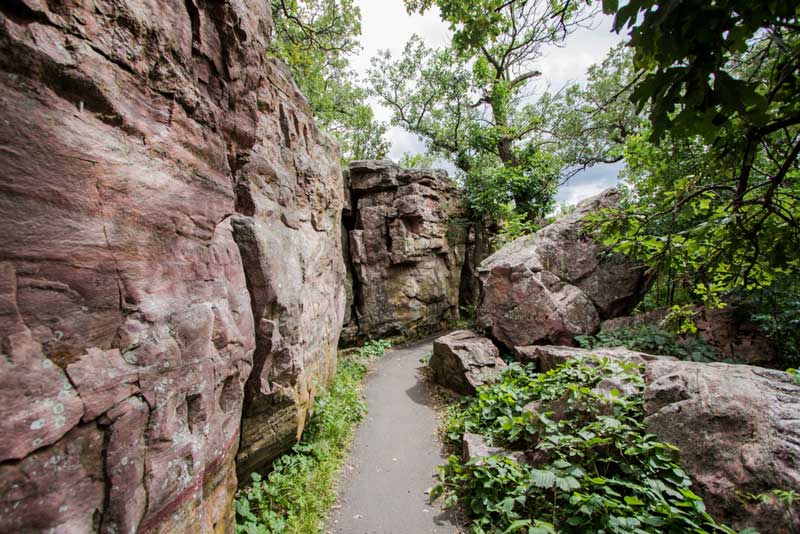 Circle Trail Hike & Prairie Exploration