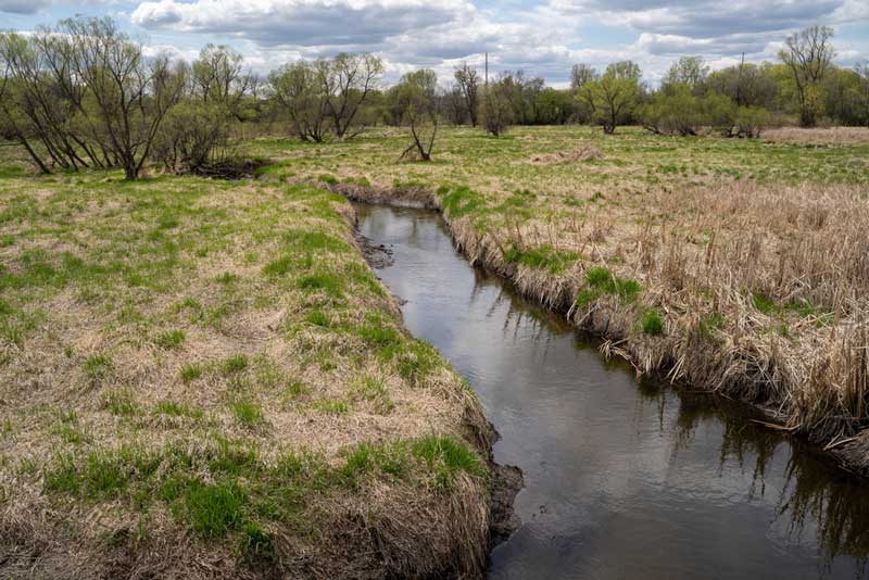 Elm Creek Park Reserve