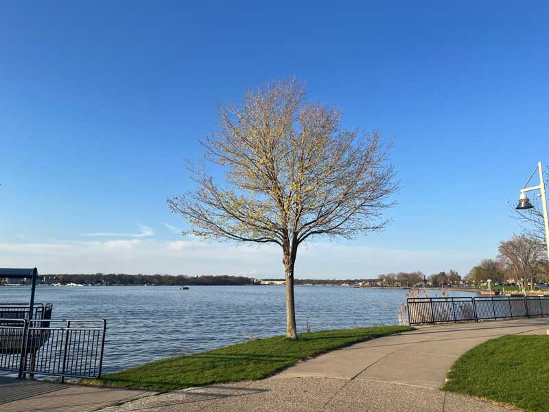 Heinz Waterfront Walkway