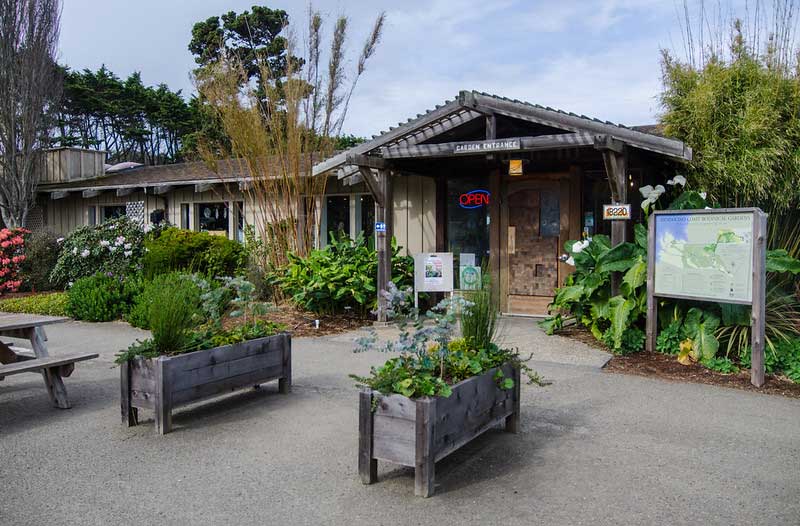 Mendocino Coast Botanical Gardens