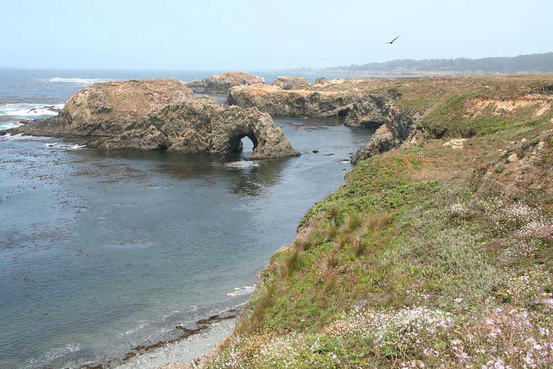 Mendocino Coast